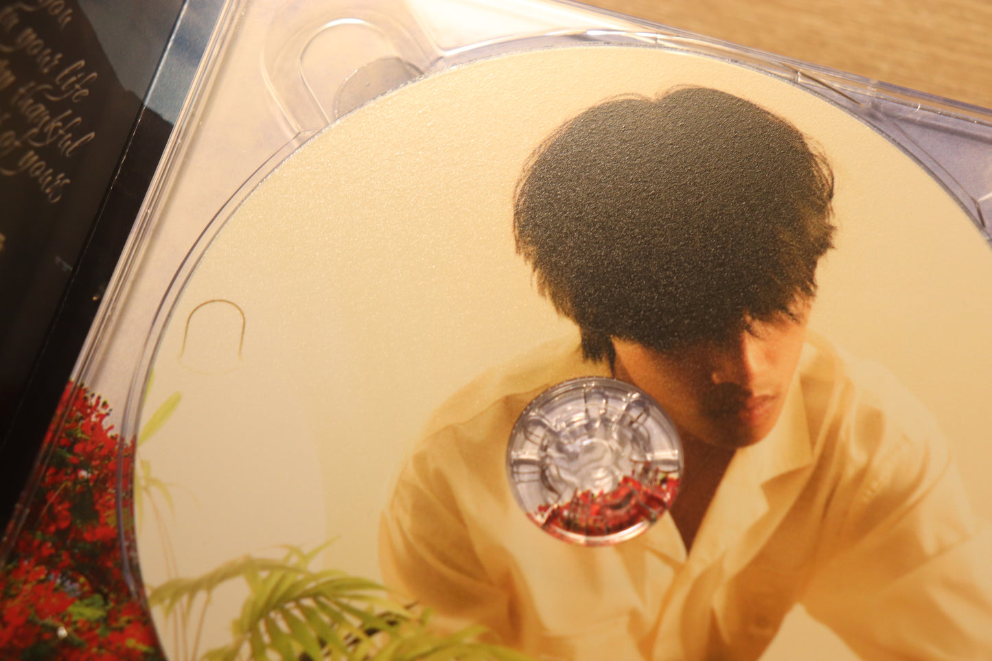 eternal summers (CD)